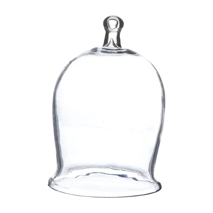 Cloche à gâteau en verre soufflé avec poignée - 13xH30 cm - Set de 2 pièces