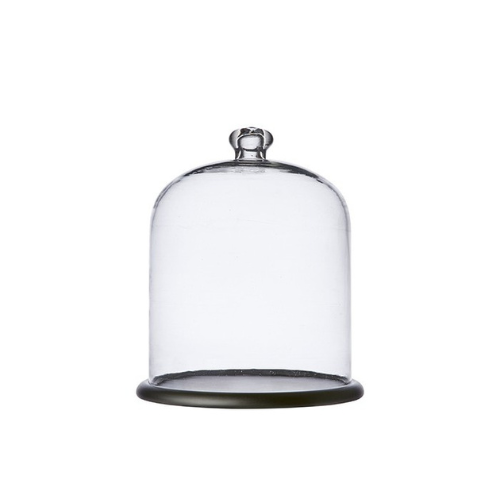 Cloche en verre avec support en bois ARLO - 34 cm