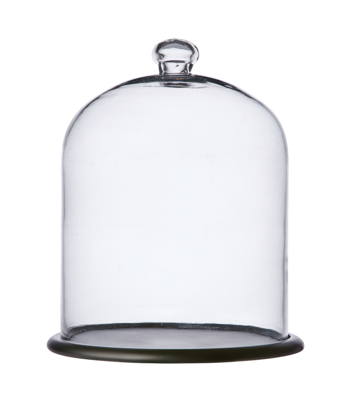 Cloche en verre avec support en bois ARLO - 34 cm