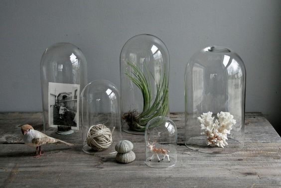Cloche en verre cylindre Ø18 X 26 cm - Koddel.com