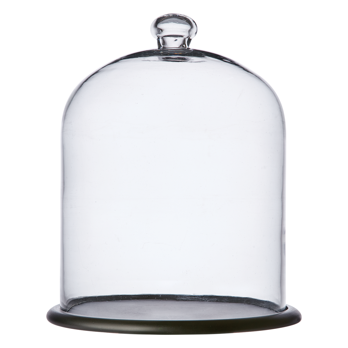 ARLO Glass Dome with Wooden Stand - 34 cm