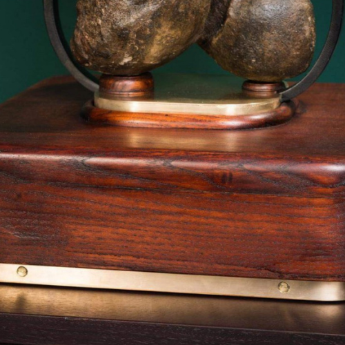 Fossilized mammoth femur – Bite marks, approx. 10,000 years old