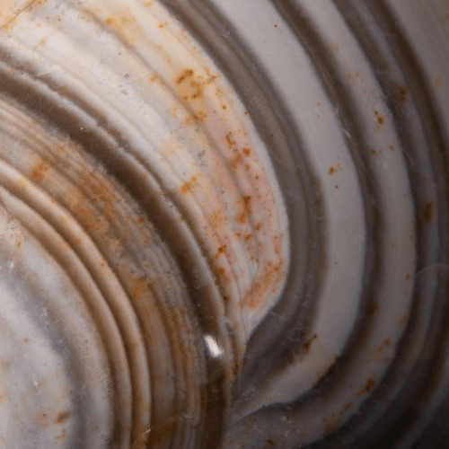 Sphère de Jaspe Rayé – Pièce unique de 7,6 kg (Madagascar) - Koddel.com