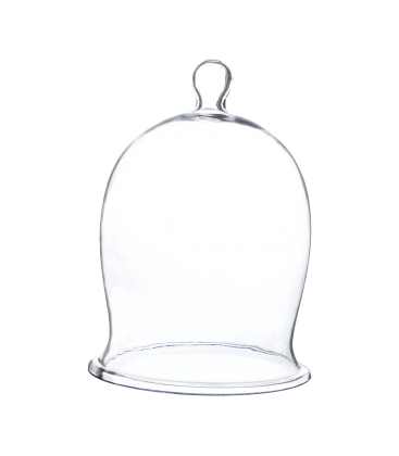 Cloche en verre gâteau