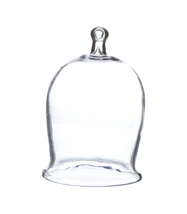 Cloche en verre gâteau