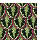 CALATHEA WALLPAPER