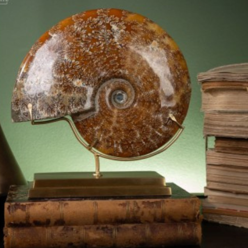 Objets d'exception