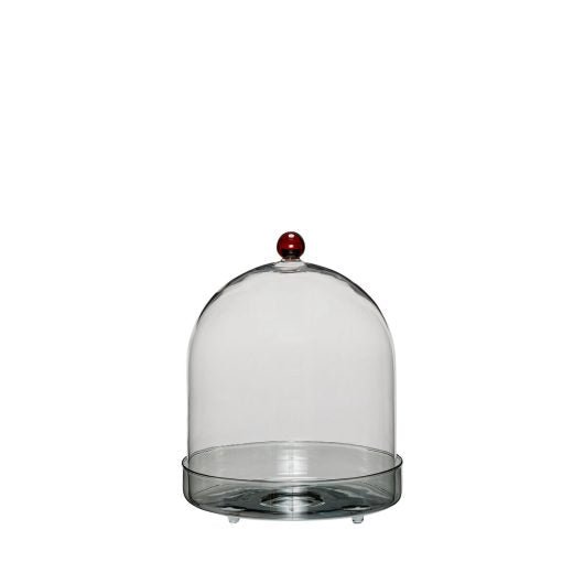 Cloche et grand dôme en verre de présentation - Koddel.com