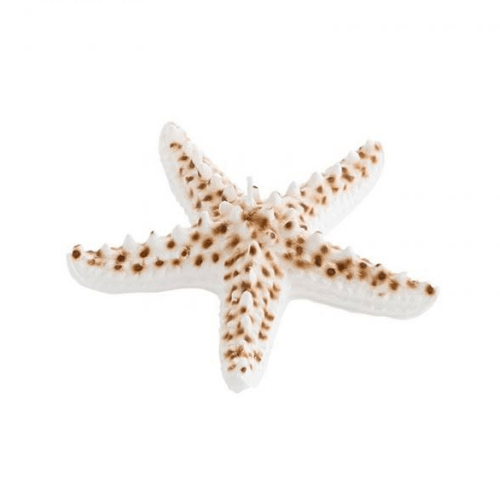 Bougie étoile de mer peinte à la main - Lot de 3 pièces - Koddel.com