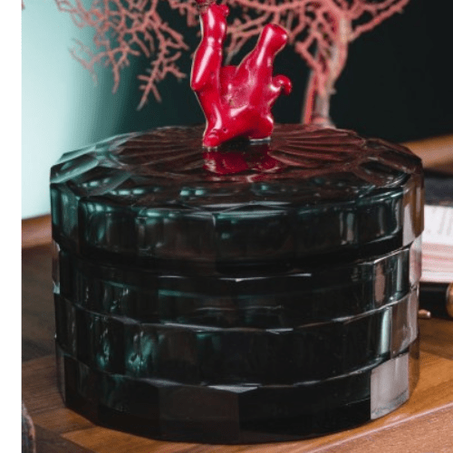 Boîte en verre fumé et corail bambou - Contraste raffiné - Koddel.com