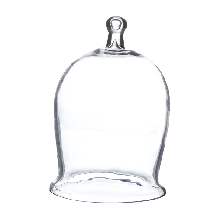 Cloche à gâteau en verre soufflé avec poignée - 13xH30 cm - Set de 2 pièces - Koddel.com