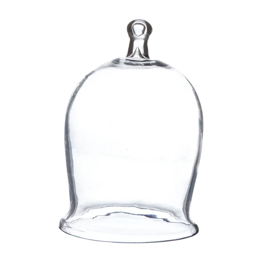 Cloche à gâteau en verre soufflé avec poignée - 13xH30 cm - Set de 2 pièces