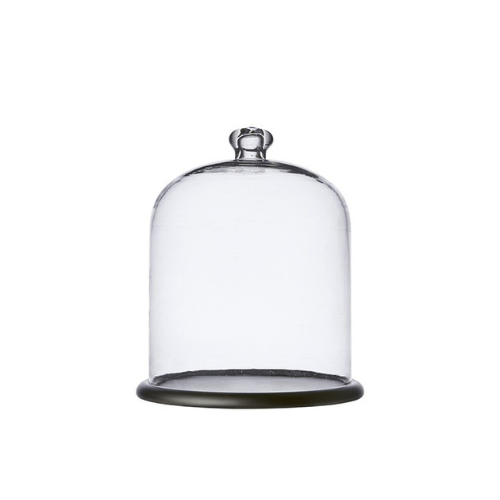 Cloche en verre avec support en bois ARLO - 34 cm - Koddel.com