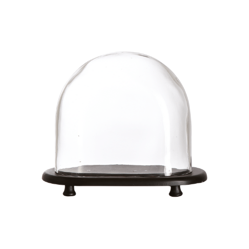 Cloche ovale en verre soufflé avec socle bois - Élégance et mise en valeur de créations - Koddel.com