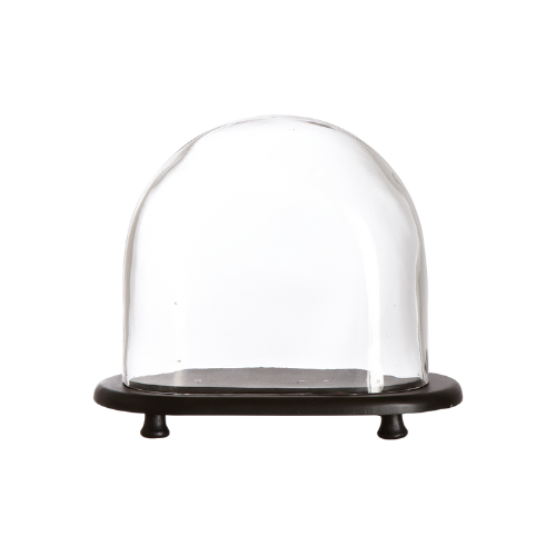 CLOCHE EN VERRE AVEC SOCLE PACIFIC
