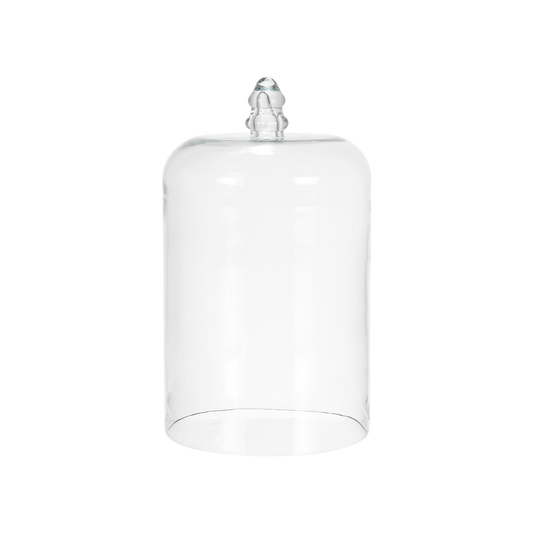 Cloche L en verre soufflé  H30 cm – présentation professionnelle et élégante