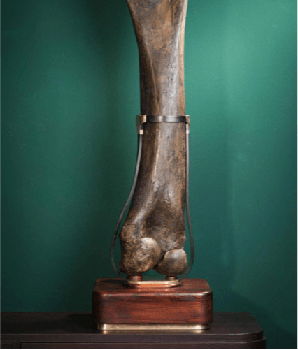 Fémur fossilisé de mammouth - Traces de morsure, env. 10 000 ans - Pièce unique - Koddel.com