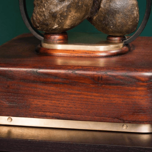 Fémur fossilisé de mammouth - Traces de morsure, env. 10 000 ans - Pièce unique - Koddel.com