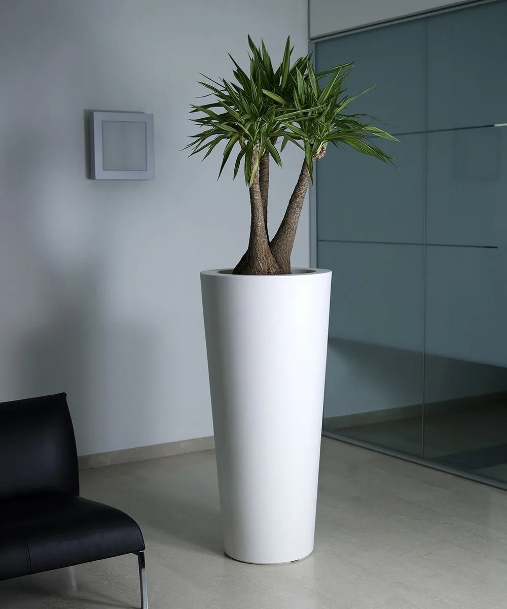 Grand pot longiligne blanc - Intérieur / Extérieur ELLA - Koddel.com