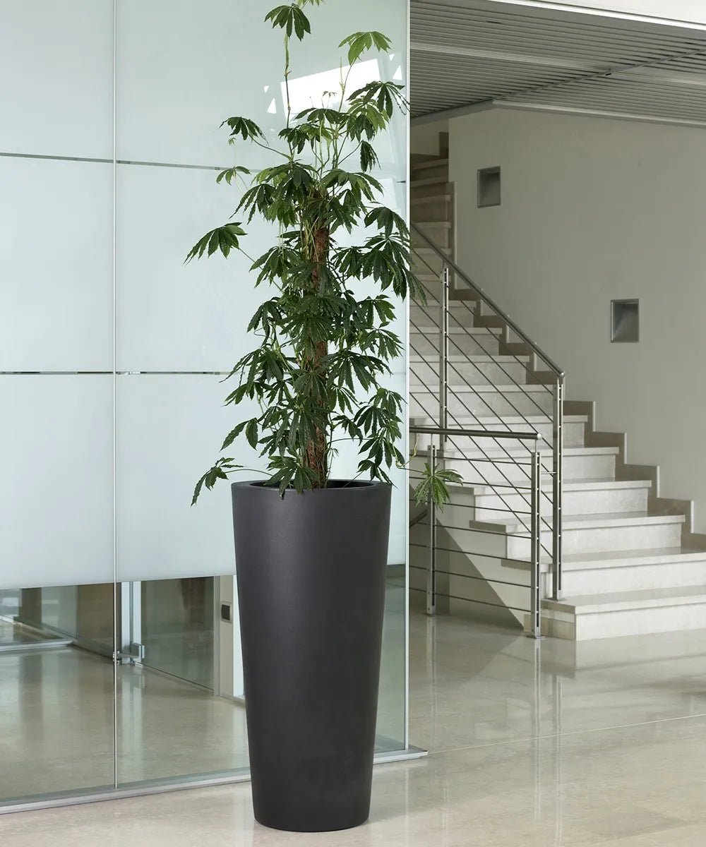 Grand pot longiligne blanc - Intérieur / Extérieur ELLA - Koddel.com