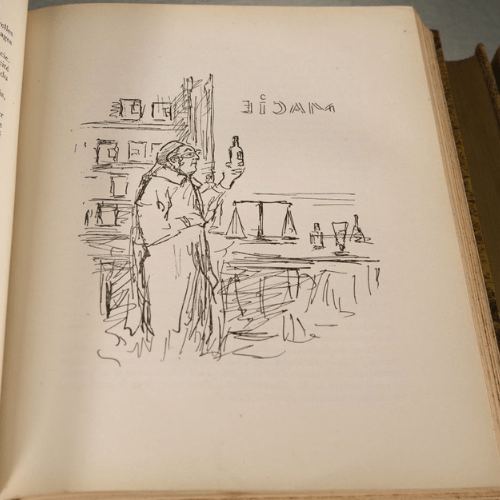Œuvres choisies de Gustave Flaubert – Édition du centenaire (1923–1925) - Koddel.com