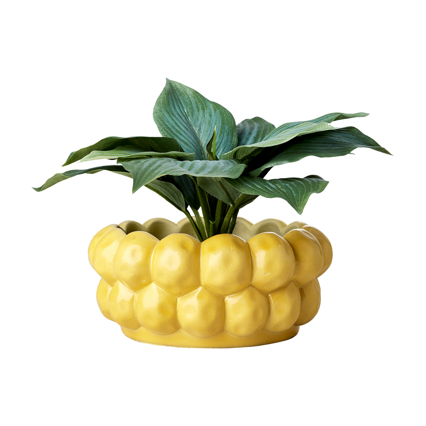 Decorative yellow concrete pot - Stylized citrus shape - Ø22 x H10 cm