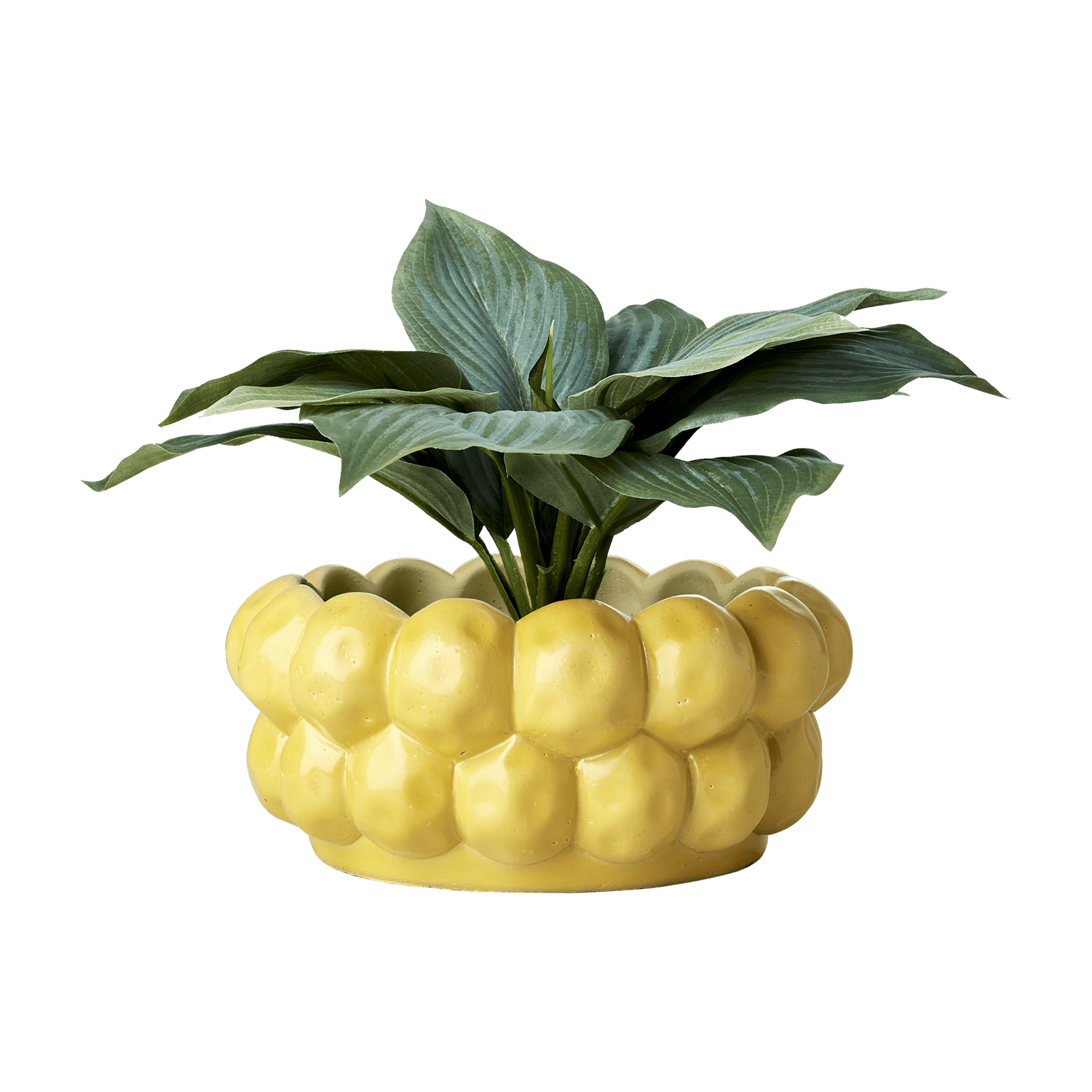 Pot décoratif en béton jaune - Forme agrume stylisée – Ø22 x H10 cm - Koddel.com